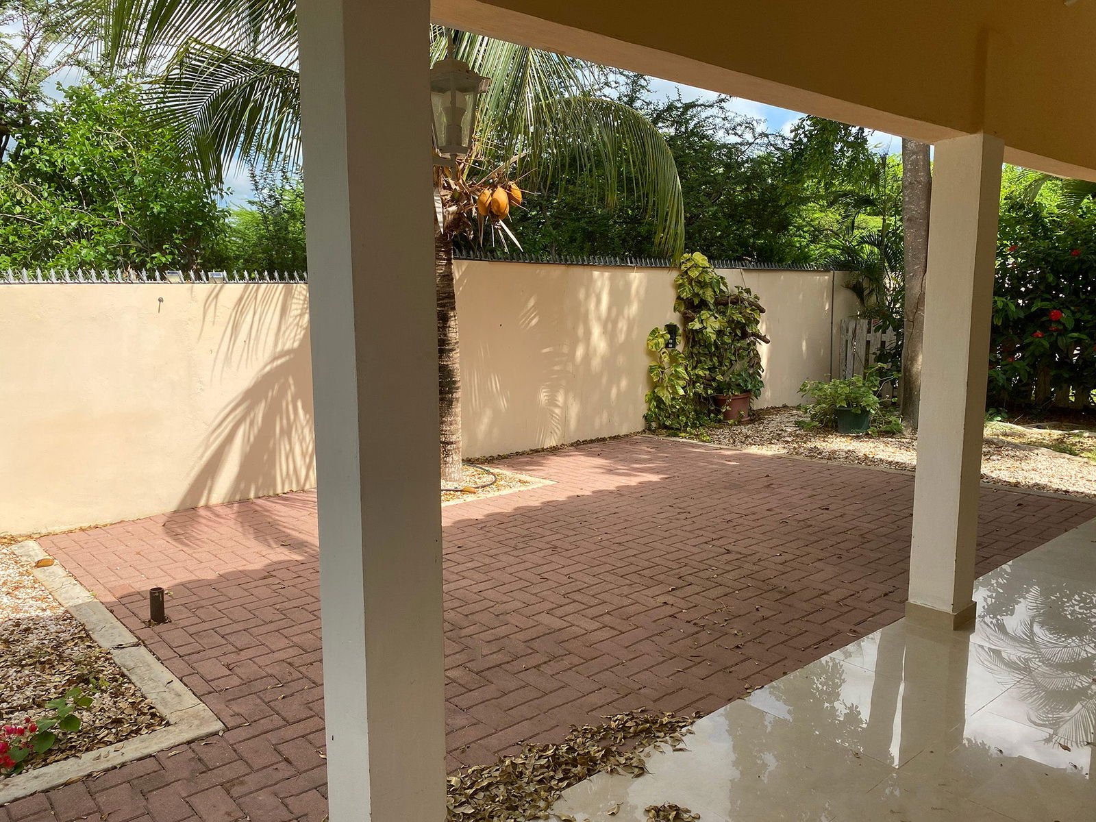 Oleander Residence - Julianadorp - Lovely Villas and Apartments Curaçao - Book Directly