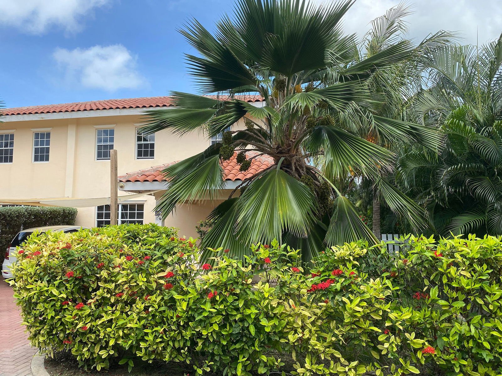 Oleander Residence - Julianadorp - Lovely Villas and Apartments Curaçao - Book Directly