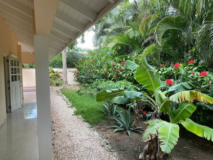 Oleander Residence - Julianadorp - Lovely Villas and Apartments Curaçao - Book Directly